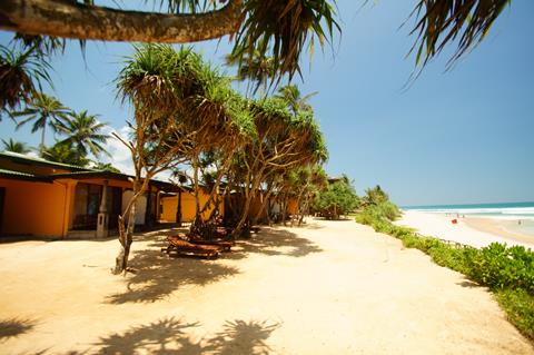 The Beach Cabanas